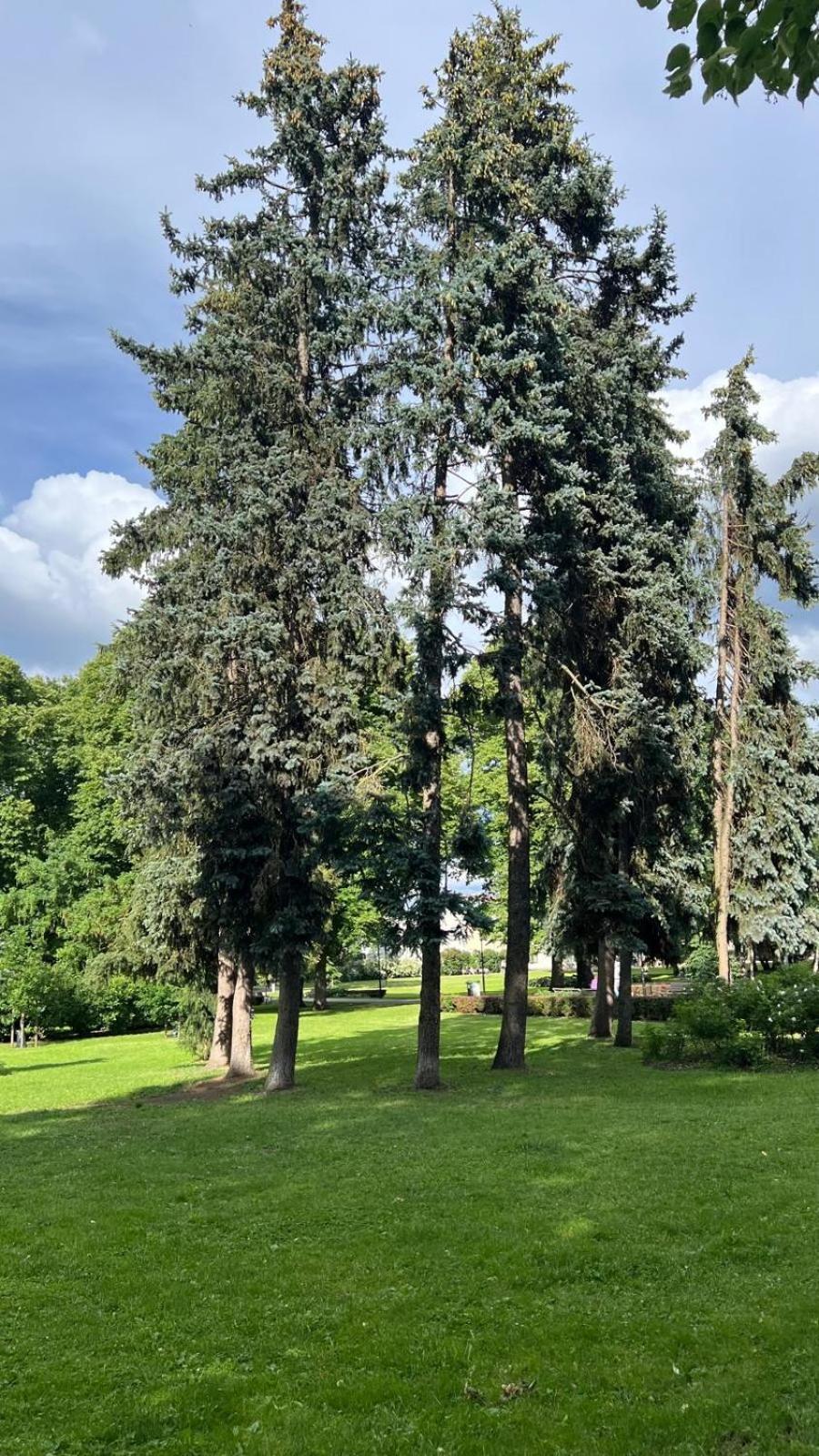 Chaka 80b 4 Lägenhet *